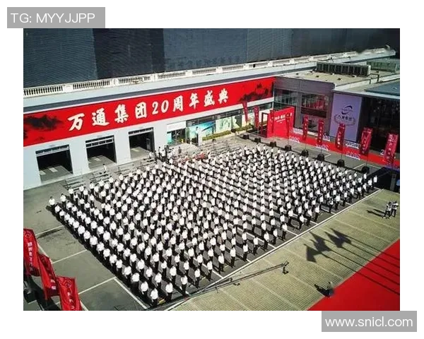 广州排球队的辉煌征程与冠军赛背后的奋斗故事